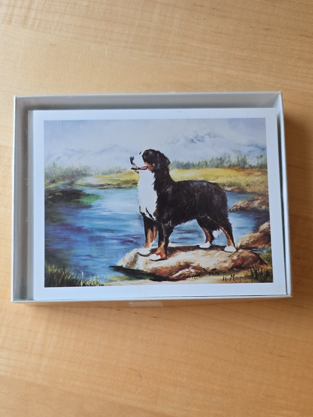 Bernese Mountain Dog Notecard Set, 6 Blank Note Cards By Ruth Maystead